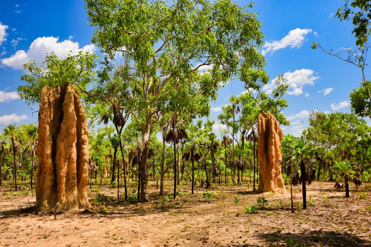  Litchfield National Park